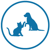 icno-animales