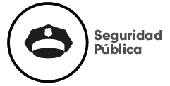 icon-seg